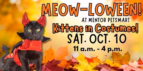 SATURDAY ONLY Adoption Event at Mentor Petsmart Oct. 10, 2026