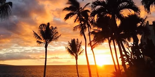 Northern California Dachshund Club Specialty