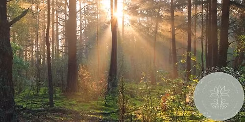 FREE Forest Bathing Taster 