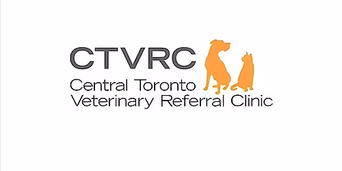 Ophthalmology - Back to Basics and meet Dr. Lisa Rattray