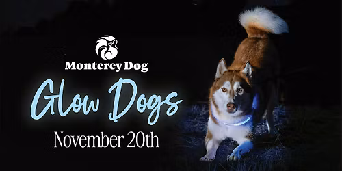 Glow Dogs with Monterey Dog