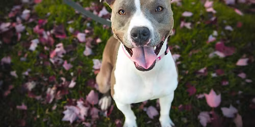 1st Tuesday Group Class