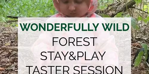 Forest Stay and Play
