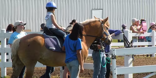 Reins of Life - 45th Annual Benefit 4H & Open Horse show