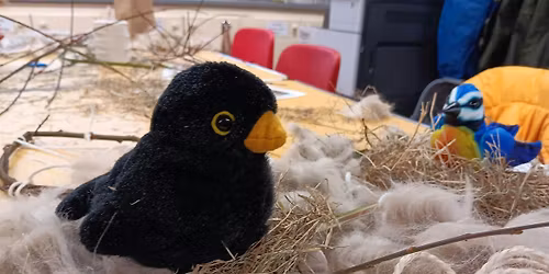 Swanwick Lakes Wildlife Tots: The Birdwatchers!