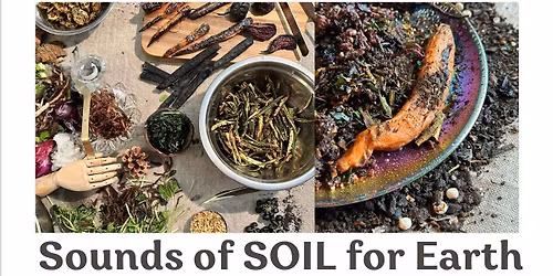 Sounds of SOIL for Earth