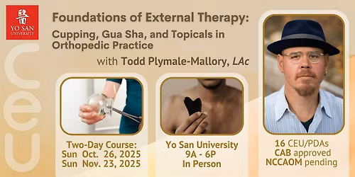 Foundations of External Therapy: Cupping, Gua Sha, and Topicals