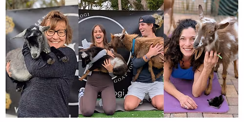 Goat Cuddling at Armature Works - All Ages