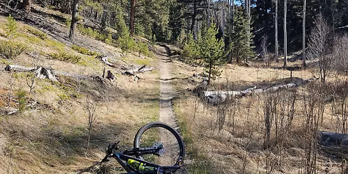 11th Annual Pete Sorini trail day