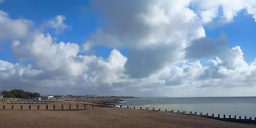Painting by the Sea for Carers