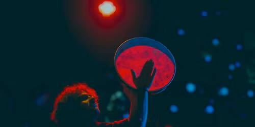 Our Little Jonoub | San Diego