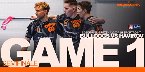 Bulldogs Brno - Torpedo Hav\u00ed\u0159ov