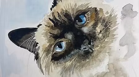 Watercolour Pets workshop