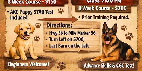 Puppy Training Classes