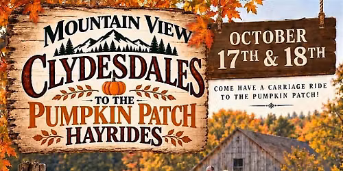 Mountain View Clydesdales to the Pumpkin Patch