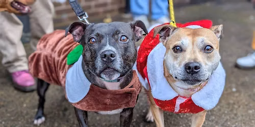 Newcastle \u2013 Terriers Christmas Tour \ud83c\udf84