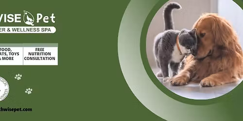 Pet Adoption with 4 Paws Cat & K9 Rescue