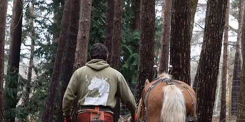 Horse Logging Experience with Toby Hoad 