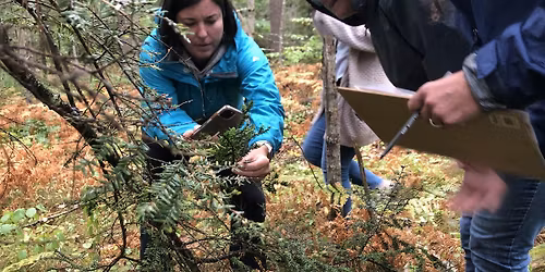 Educator Workshop: Hemlock Monitoring and Stewardship