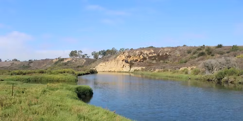 OCH Restoration at Upper Newport Bay (Salt Marsh)