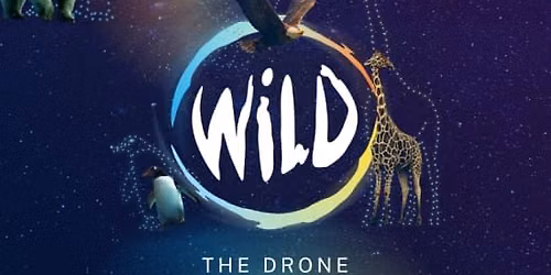 WILD: The Drone Light Show - Ipswich