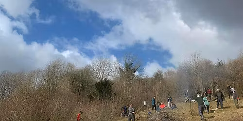 Sands Bank Scrub Bash, Rake & Burn