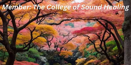SOUND BATH + GUIDED MEDITATION