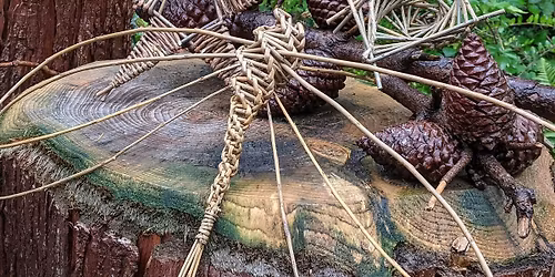 Family willow weaving workshop