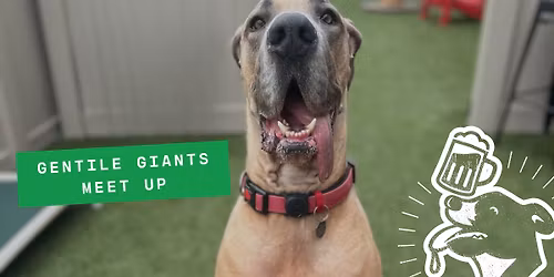 Gentle Giants Meet Up