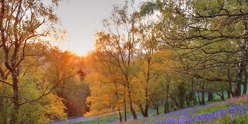 Bluebells\/Full Moon evening walk on the Malvern Hills - 5 miles