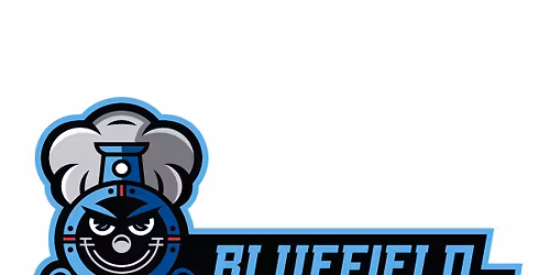 Danville Otterbots vs. Bluefield Ridge Runners