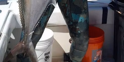 PFI Open Water Freediving Course 20M