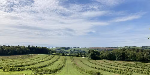 Perennial crops and agroforestry