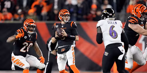 Baltimore Ravens at Cincinnati Bengals at Paycor Stadium
