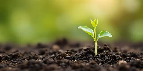 Ready To Grow Celebration
