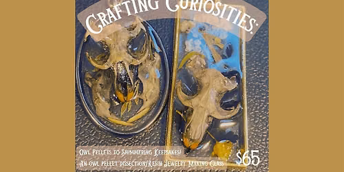Crafting Curiosities: Owl Pellet Dissection\/Jewelry Making Workshop