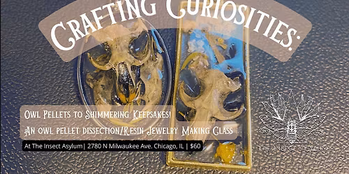 Owl Pellet Dissection\/Jewelry Making Workshop - Last Saturday of the Month