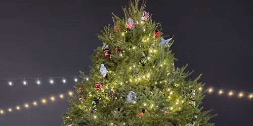 2nd Annual Holiday Hangout @ David's House