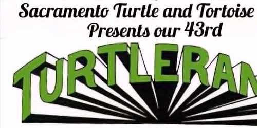 STTC Presents the 43rd Annual Turtlerama