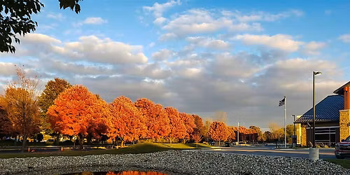 Intro to Mobile Photography - Part 1: Your Phone, Your Camera