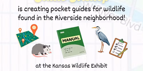 Riverside Play Days: Nature Guides with Katie Bishop