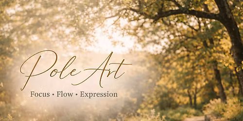 Beginner Pole Art Workshop Tel Aviv