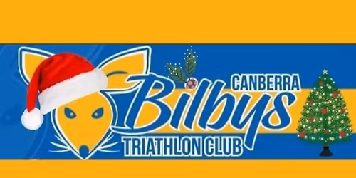 Bilbys Christmas Party