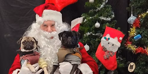 Pug Meetup! \ud83c\udf84 \ud83c\udf81