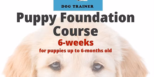 Puppy Foundation Course 