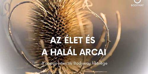 Az \u00c9let \u00e9s a Hal\u00e1l arcai - 3 napos intenz\u00edv h\u00e9tv\u00e9ge a Bodyway Egyes\u00fclet szervez\u00e9s\u00e9ben