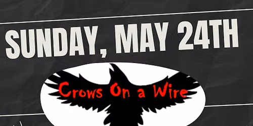 Crows On a Wire Live On The Rocks