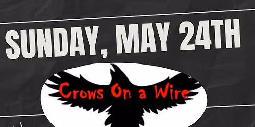Crows On a Wire Live On The Rocks