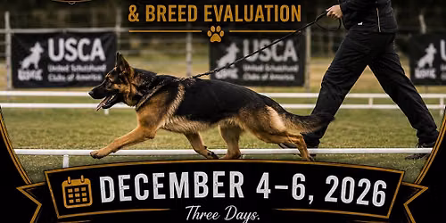 United Fido SC Club Trial and Breeding Evaluation 
