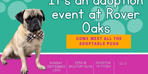 Rover Oaks Houston Adoption Event